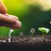 热门游戏推荐 - 问鼎娱乐直播APP